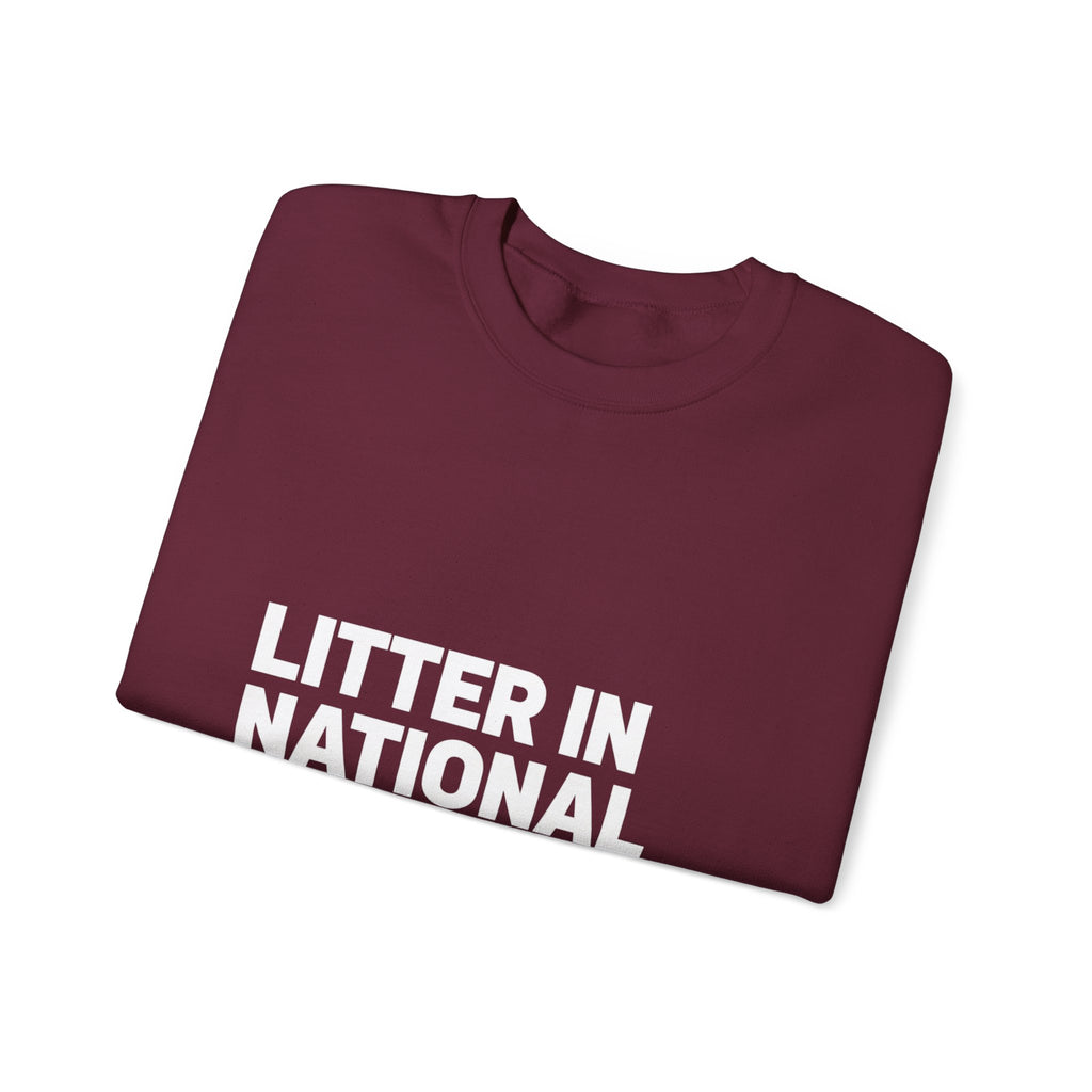 LITTER IN NATIONAL PARKS on a sweatshirt